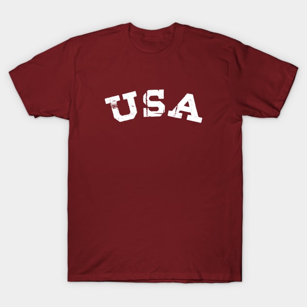 Retro USA Comfort T-Shirt T-Shirt by Aspita